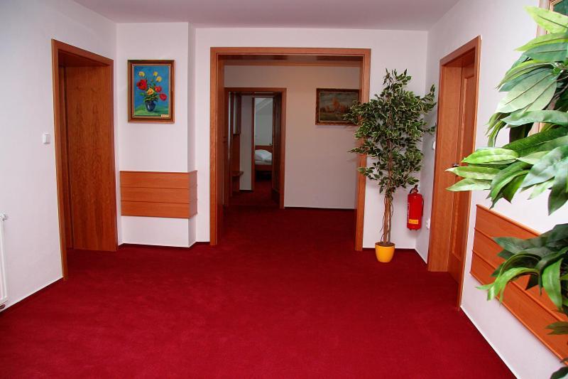 Hotel Penzion Bocheta Nový Jičín Esterno foto